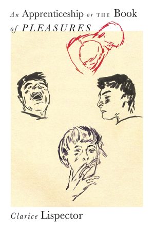 Apprenticeship or the Book of Pleasure