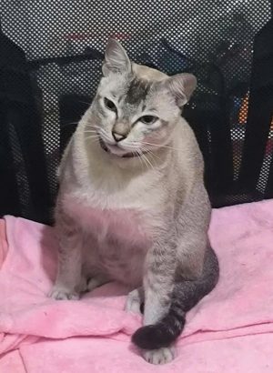 A Child Called "Cá"