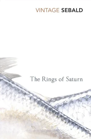 The Rings of Saturn